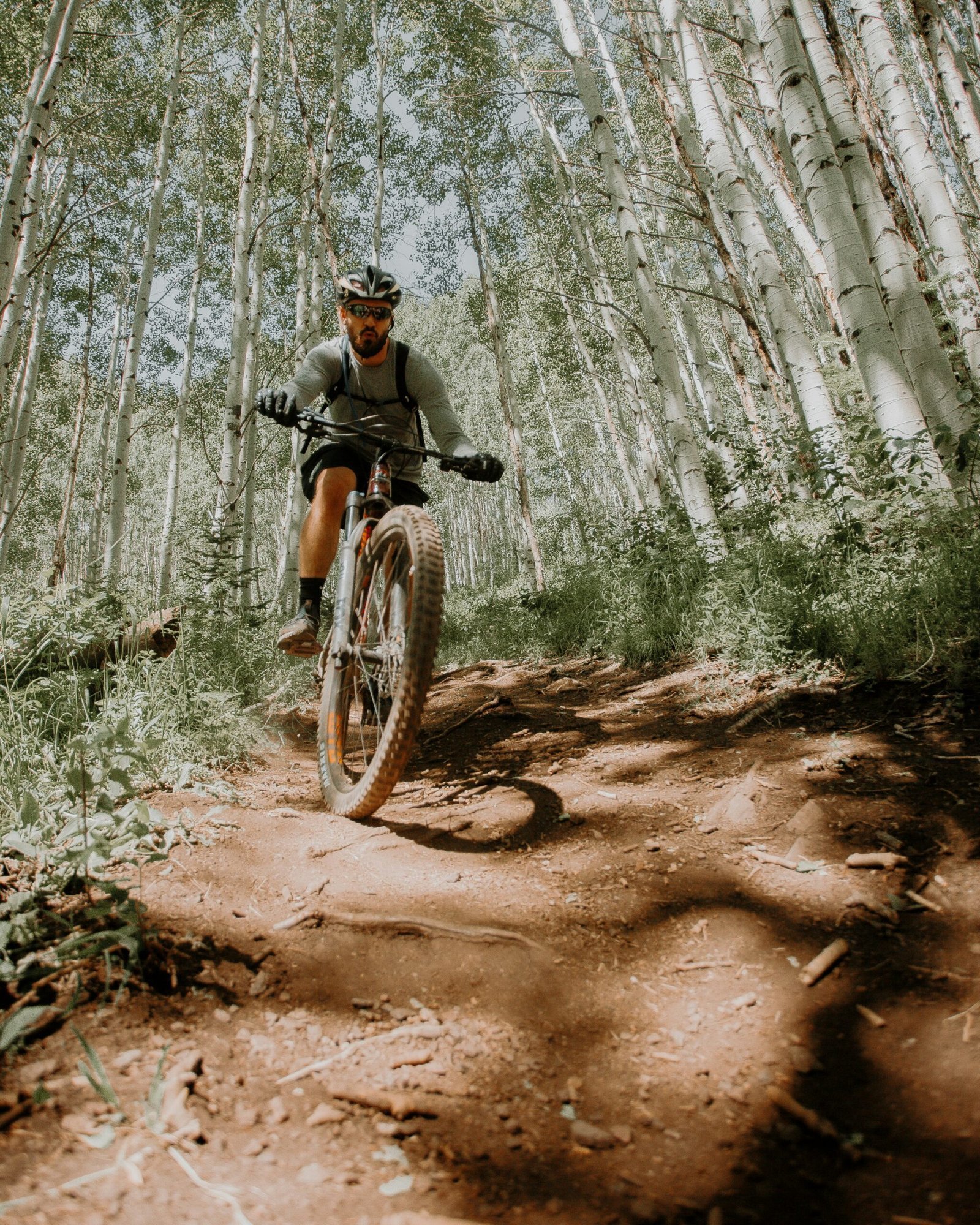 man riding on motorcycle in forest during daytime